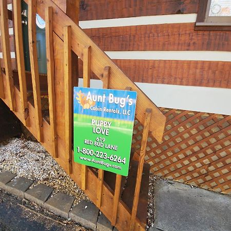 Puppy Love #1619 Gatlinburg Exterior foto